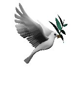 dove_with_olive_branch_lc (23K)